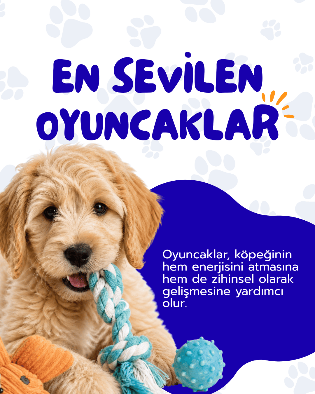 Sosyal Medya Tasarımı